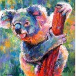 Koala 12